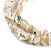 Natural Trochus Shell Beads Strands BSHE-H109-10-4