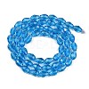 Transparent Glass Beads Strands EGLA-N013-T10mm-D17-2