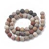 Natural America Picture Jasper Beads Strands G-T106-167-3