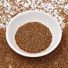 MIYUKI Delica Beads SEED-JP0008-DB1734-2