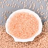 FGB Frosted Transparent Glass Seed Beads SEED-N013-04A-03-2