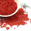 Glass Seed Beads X-SEED-S042-04B-10-1