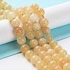 Dyed Natural Malaysia Jade Beads Strands G-G021-02B-11-1
