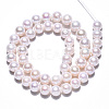 Natural Keshi Pearl Beads Strands PEAR-S020-L13-2