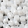 Opaque Colours Luster Glass Seed Beads SEED-E001-P3x6mm-A13-3