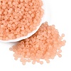 FGB Frosted Transparent Glass Seed Beads SEED-N013-04A-04-1