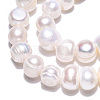 Natural Cultured Freshwater Pearl Beads Strands X1-PEAR-N013-08G-5