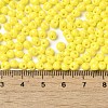 6/0 Opaque Baking Paint Glass Seed Beads X1-SEED-M012-02A-24-4