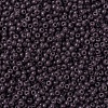 MIYUKI Round Rocailles Beads X-SEED-G007-RR0497-3