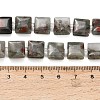 Natural African Bloodstone Beads Strands GG-F802-B17-01-5