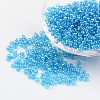 Round Glass Seed Beads X-SEED-A006-3mm-103B-1