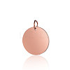 Ion Plating(IP) 304 Stainless Steel Pendants STAS-I311-32D-RG-1