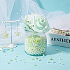 2 Sets Plastic Beads KY-SC0002-24B-4