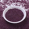 MIYUKI Round Rocailles Beads X-SEED-G007-RR0313-2