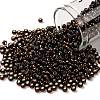 TOHO 8/0 Round Beads X-SEED-TR08-2205-1