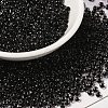 6/0 Transparent Glass Seed Beads SEED-F003-03A-08-1
