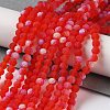 Transparent Glass Beads Strands X1-EGLA-A034-T4mm-MB01-2