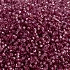 MIYUKI Round Rocailles Beads X-SEED-G009-RR0645-4