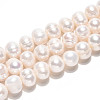 Natural Cultured Freshwater Pearl Beads Strands PEAR-N013-10D-01-1
