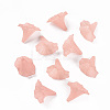 Transparent Acrylic Beads BSF796-C11-4