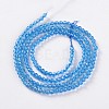 Glass Beads Strands EGLA-E057-02B-09-2