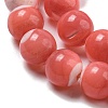 Dyed Natural Trochus Shell Beads Strands BSHE-G034-25A-4