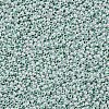 11/0 FGB Grade A Ceylon Glass Seed Beads X-SEED-N001-B-0487-2