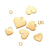 304 Stainless Steel Charms STAS-BT0001-04G-3