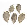 Electroplated Natural Leaf Big Pendants IFIN-Q119-01F-1