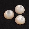 Natural White Shell Mother of Pearl Shell Cabochons SSHEL-G014-13-1
