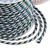 11M Polyester Braided Cord with Cotton Core & Metallic Thread OCOR-Z006-01-25-3