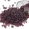 TOHO 8/0 Round Beads SEED-TR08-0166B-1