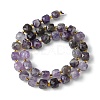 Natural Amethyst Beads Strands G-Q010-A07-01-3