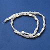Natural Freshwater Shell Beads Strands SHEL-C005-05-2