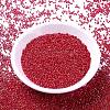 MIYUKI Delica Beads SEED-MY11-DB0214-2