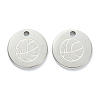 304 Stainless Steel Charms STAS-P280-01P-1
