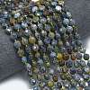 Natural Blue Agate Beads Strands G-K389-B50-01-2