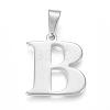 Tarnish Resistant 304 Stainless Steel Pendants STAS-F106-95P-B-1