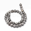Natural Map Stone Beads Strands G-P075-15-10mm-2