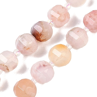 Natural Cherry Blossom Agate Beads Strands G-G182-B41-03-1