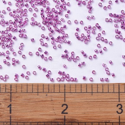 MIYUKI Delica Beads SEED-X0054-DB0425-1