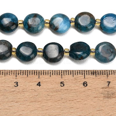 Natural Apatite Beads Strands G-H005-B14-01-1