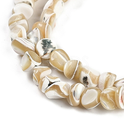 Natural Trochus Shell Beads Strands BSHE-H109-10-1