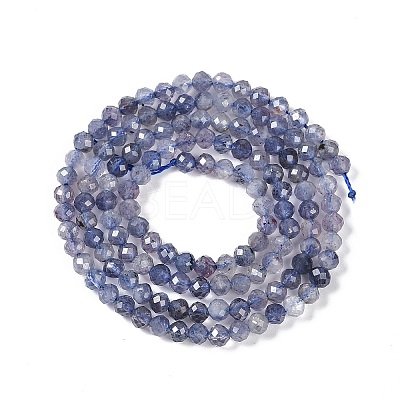 Natural Iolite Beads Strands X-G-N342-32-1
