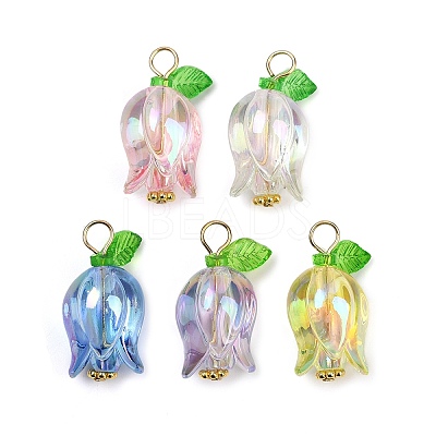 Acrylic Pendants PALLOY-JF03534-01-1