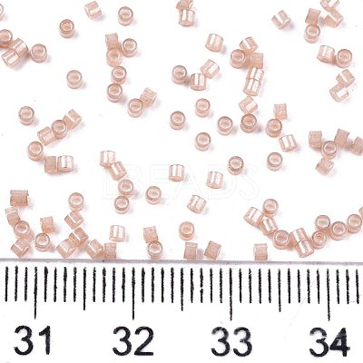 FGB 11/0 Grade A Baking Paint Glass Seed Beads X-SEED-S030-1145-1