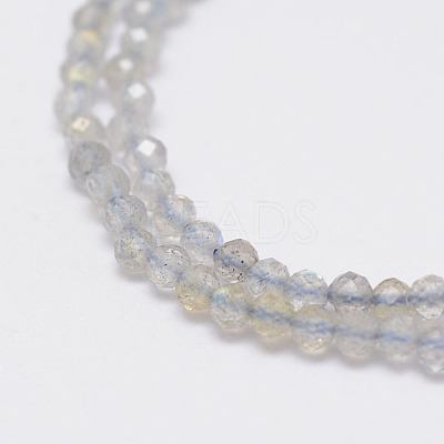 Natural Labradorite Beads Strands LS-G-E347-14-1