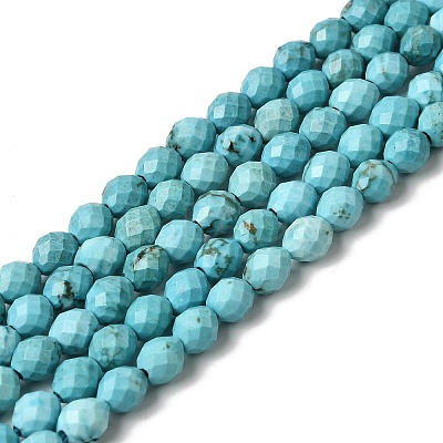 Dyed Natural Howlite Beads Strands G-K376-F06-01-1