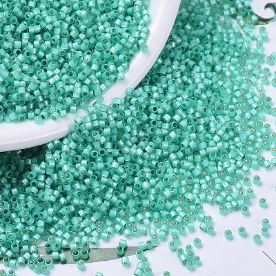 MIYUKI Delica Beads SEED-J020-DB0627-1