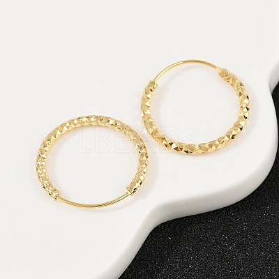 Brass Textured Hoop Earrings EJEW-F378-03C-G-1